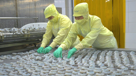 Tập trung làm hàng giá trị cao, Thủy sản Minh Phú (MPC) báo lãi cao nhất 10 quý