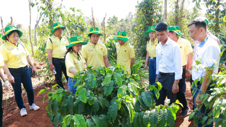 Hành trình mới cùng canh tác cà phê thông minh