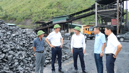 TKV: Tăng cường kiểm tra công tác sản xuất, tiêu thụ than