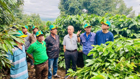 Tại sao cần canh tác cà phê thông minh?