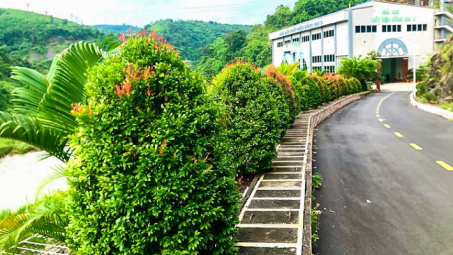 Không gian làm việc Xanh: Hành trình bền vững của Công ty Thủy điện Đồng Nai