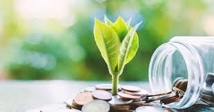 Ngân hàng xanh: Xu hướng, thách thức và triển vọng phát triển