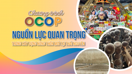 Chương trình OCOP: Nguồn lực quan trọng trong xây dựng nông thôn mới tại Thái Nguyên