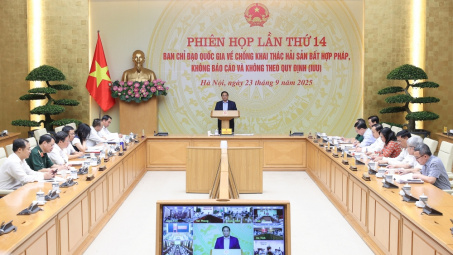 Thủ tướng: Quyết gỡ 'thẻ vàng' IUU trong năm 2025