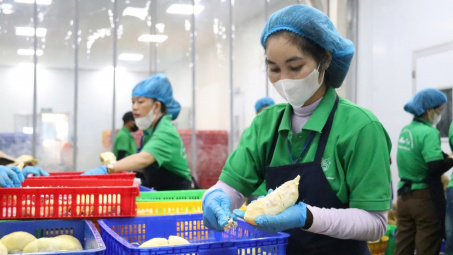 Việt Nam là đối tác thương mại lớn nhất của tỉnh Quảng Đông (Trung Quốc) trong khối ASEAN
