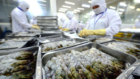 Thực phẩm Sao Ta (FMC): Doanh số tháng 8/2025 tăng 32%, đã đủ đơn hàng tới cuối năm