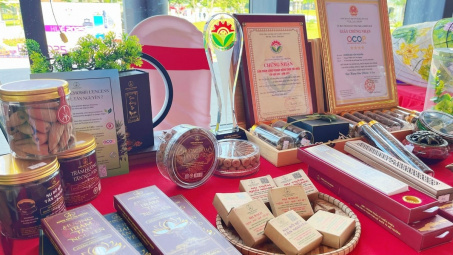 Thành phố Huế: Hỗ trợ doanh nghiệp nâng cao năng suất và chất lượng sản phẩm, hàng hóa