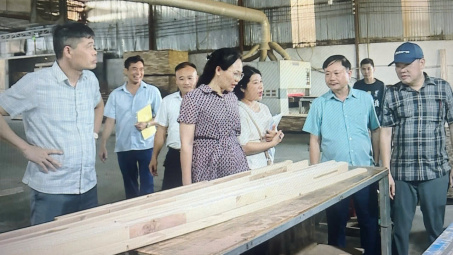 Thanh Hóa: Dấu ấn nổi bật từ Chương trình khuyến công quốc gia giai đoạn 2021-2025