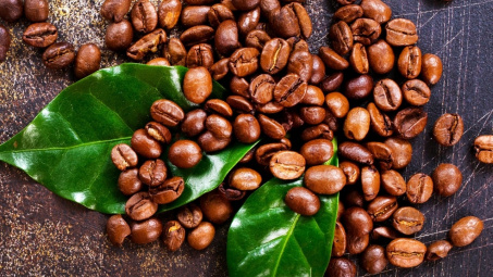 Giá cà phê hôm nay 14/1: Giá trong nước và thế giới đồng loạt tăng