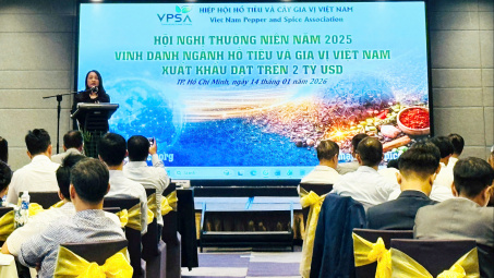 Hồ tiêu Việt Nam lập kỷ lục mới, tiếp tục giữ vị trí nguồn cung số 1 thế giới