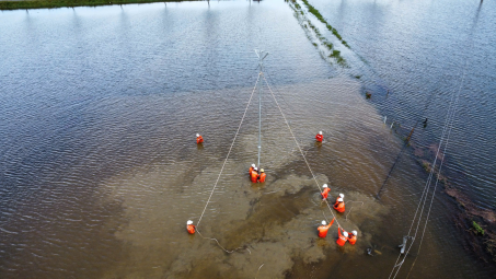 EVNNPC hoàn thành xuất sắc nhiệm vụ năm 2025, sẵn sàng cho giai đoạn tăng trưởng cao
