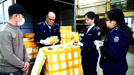 Thái Nguyên: Phát hiện, tiêu hủy hàng trăm túi chân gà rút xương không rõ xuất xứ