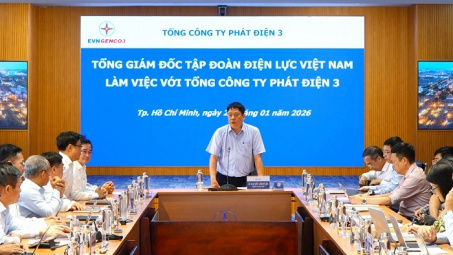 EVNGENCO3 tăng cường bảo vệ môi trường, đảm bảo vận hành an toàn các Nhà máy điện