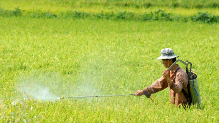 Quy định mới về điều kiện sản xuất, buôn bán thuốc bảo vệ thực vật