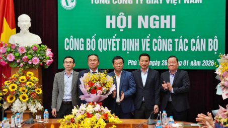 Ông Tạ Đức Long được bổ nhiệm là Tổng Giám đốc Tổng công ty Giấy Việt Nam