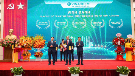 VADFCO vào nhóm 5 đơn vị có ROE cao nhất Vinachem năm 2025