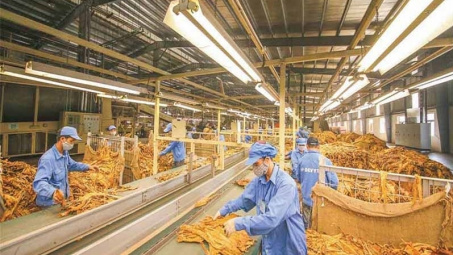 Bộ Công Thương công bố hạn ngạch thuế quan nhập khẩu thuốc lá nguyên liệu năm 2026