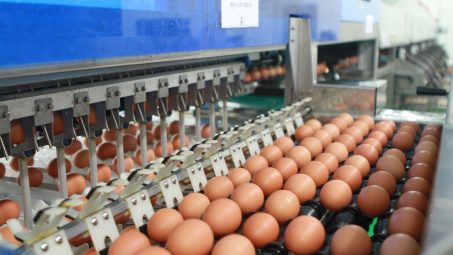 Hạn ngạch thuế quan nhập khẩu mặt hàng muối, trứng gia cầm năm 2026