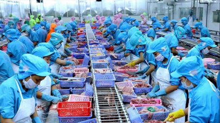 Nhiều thị trường sửa quy định về an toàn thực phẩm và kiểm dịch động, thực vật