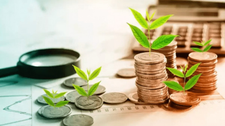 Vốn trí tuệ xanh và hành vi ra quyết định đầu tư bền vững của nhà quản trị