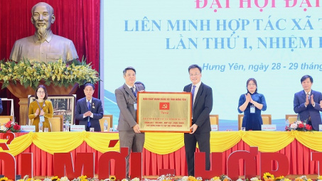 Kinh tế tập thể Hưng Yên đẩy mạnh chuyển đổi số và liên kết thị trường