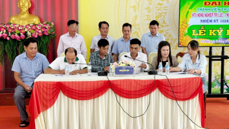 A An phát triển vùng lúa hữu cơ 63 ha theo tiêu chuẩn châu Âu tại Cà Mau