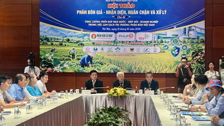Phân bón giả len lỏi thị trường: Cần cơ chế phối hợp đủ mạnh để ngăn chặn từ gốc