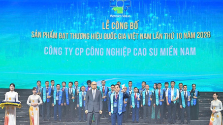 Casumina: Dấu ấn Thương hiệu quốc gia trên chặng đường 50 năm