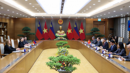 Thủ tướng Lê Minh Hưng hội đàm với Thủ tướng Liechtenstein