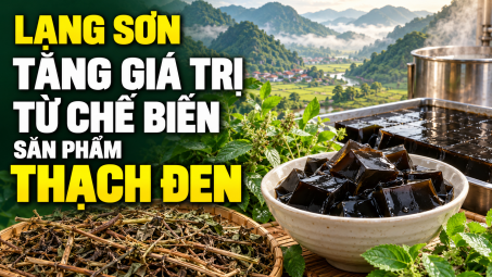 Lạng Sơn: Tăng giá trị từ chế biến sản phẩm thạch đen
