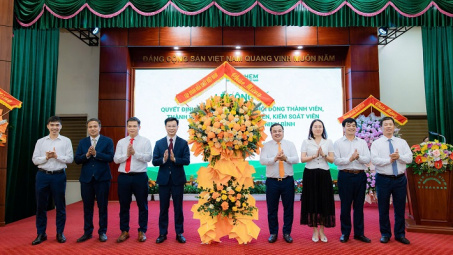 Đạm Ninh Bình kiện toàn bộ máy lãnh đạo