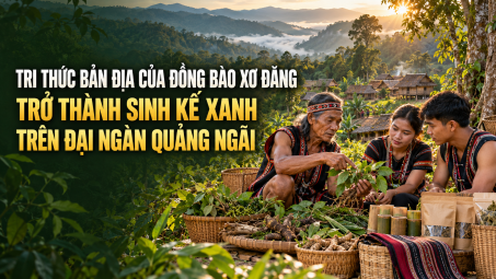 Tri thức bản địa của đồng bào Xơ Đăng trở thành sinh kế xanh trên đại ngàn Quảng Ngãi