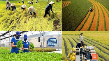 Các yếu tố tác động tới việc áp dụng mô hình kinh tế tuần hoàn trong nông nghiệp: Một đánh giá hệ thống tổng quan