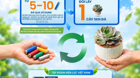 Đoàn Thanh niên EVN phát động chương trình ‘Thu pin cũ - Đổi cây xanh’
