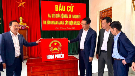 Sở Công Thương Hải Phòng có đại diện ứng cử HĐND thành phố Hải Phòng nhiệm kỳ 2026–2031