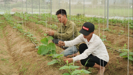 Phấn đấu hàng năm có 1,5 triệu thanh niên nông thôn được đào tạo nghề
