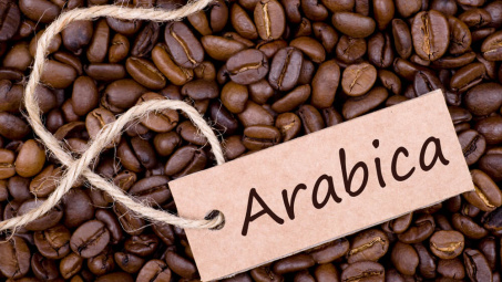 Giá cà phê hôm nay 5/2: Dự báo sản lượng tăng mạnh, giá Arabica lao dốc