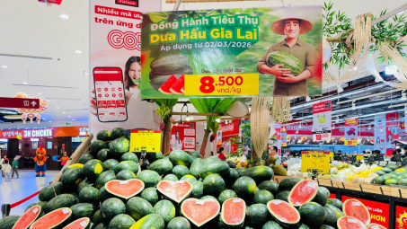 Central Retail Việt Nam triển khai chương trình hỗ trợ dưa hấu Gia Lai