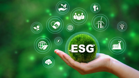 ESG implementation in Vietnam’s modern retail distribution system: From compliance to capability