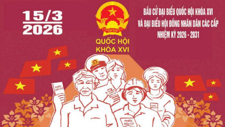 Bầu cử đại biểu Quốc hội và HĐND: Phân biệt phiếu bầu hợp lệ và phiếu bầu không hợp lệ