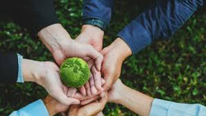 Green subsidies in international trade in goods: Global practices and implications for Vietnam