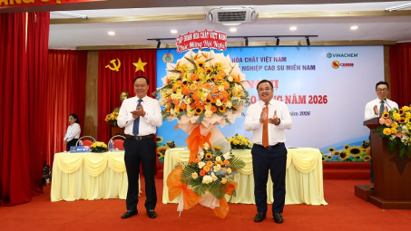 Casumina đặt mục tiêu lợi nhuận 120 tỷ đồng năm 2026