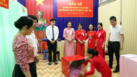 Bầu cử đại biểu Quốc hội khóa XVI và HĐND các cấp: Các địa phương thực hiện kiểm phiếu theo quy định