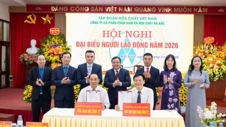 Đạm Hà Bắc đặt mục tiêu doanh thu 4.875 tỷ đồng năm 2026