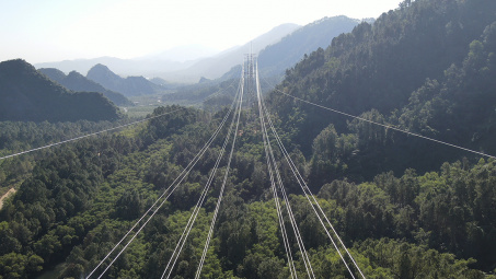 Gia Lai: Chấp thuận chủ trương đầu tư Dự án đường dây 220kV Pleiku 2 - Krông Buk mạch 2 hơn 800 tỷ đồng