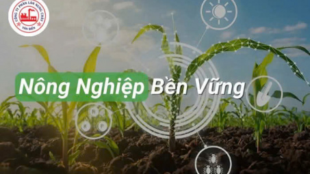 Lựa chọn Phân bón Văn Điển - Giải pháp cho nông nghiệp bền vững