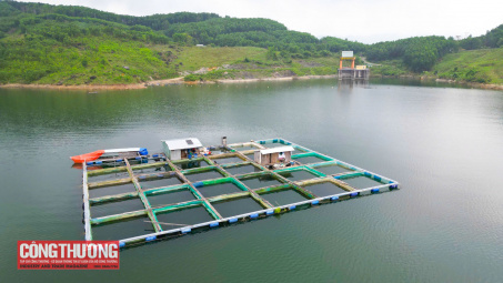 Đà Nẵng: Đến năm 2030, tất cả địa phương có công trình thủy điện có ít nhất 2 mô hình sinh kế hiệu quả cho người dân