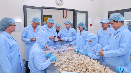 Sanvinest Khánh Hòa: Bức tranh tài chính và năng lực quản trị qua các chỉ số tăng trưởng