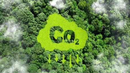 Quy định về trao đổi, chuyển giao kết quả giảm nhẹ phát thải khí nhà kính và tín chỉ các-bon áp dụng từ 19/5
