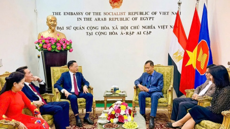 Những bước đi chủ động, chiến lược của Vinachem tại thị trường Ai Cập